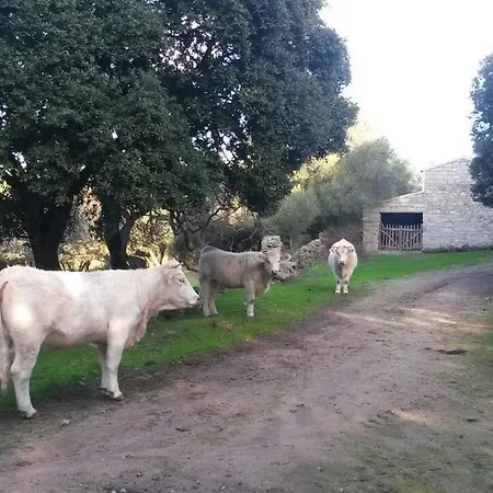 Lu Spadulagliu Εξοχικό σπίτι Telti